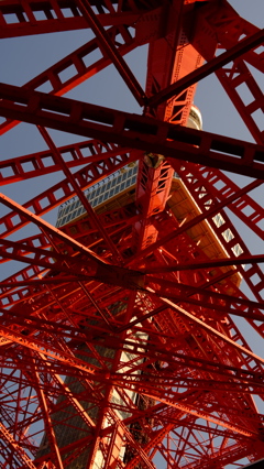 東京タワー
