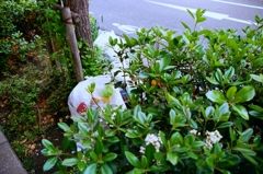 ここにしか捨てられないもの