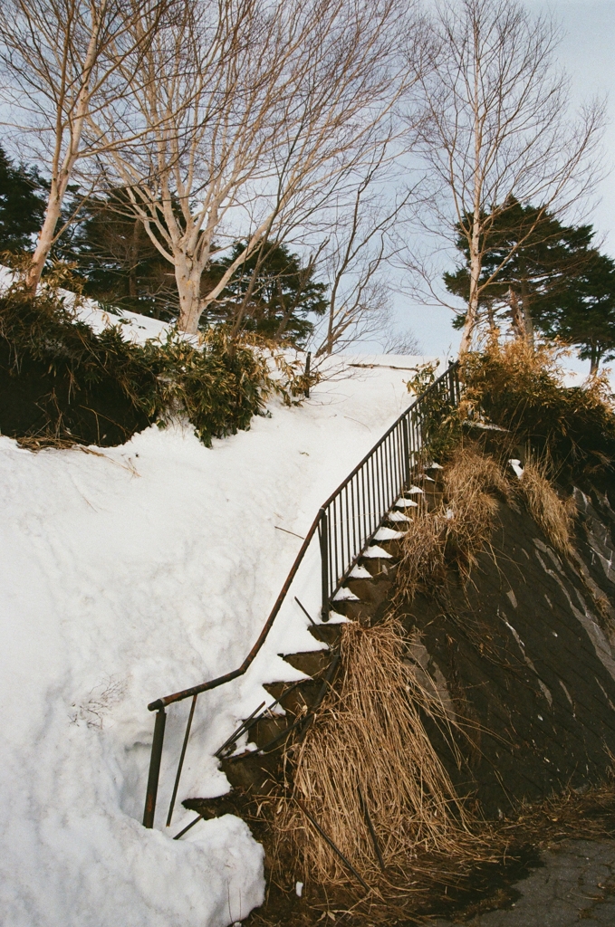 消えた道の先に