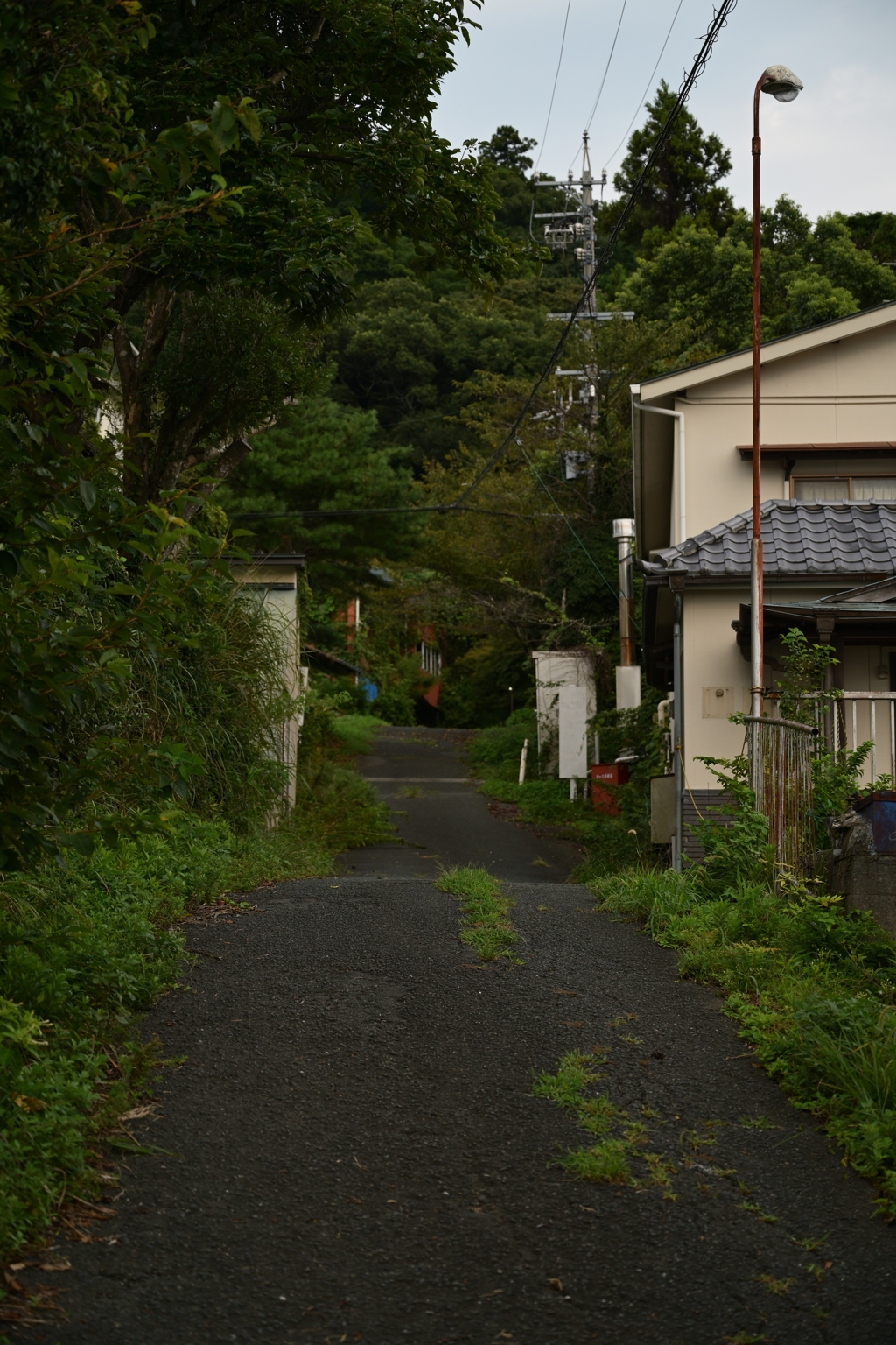 自然に呑まれる