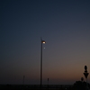 夜との邂逅