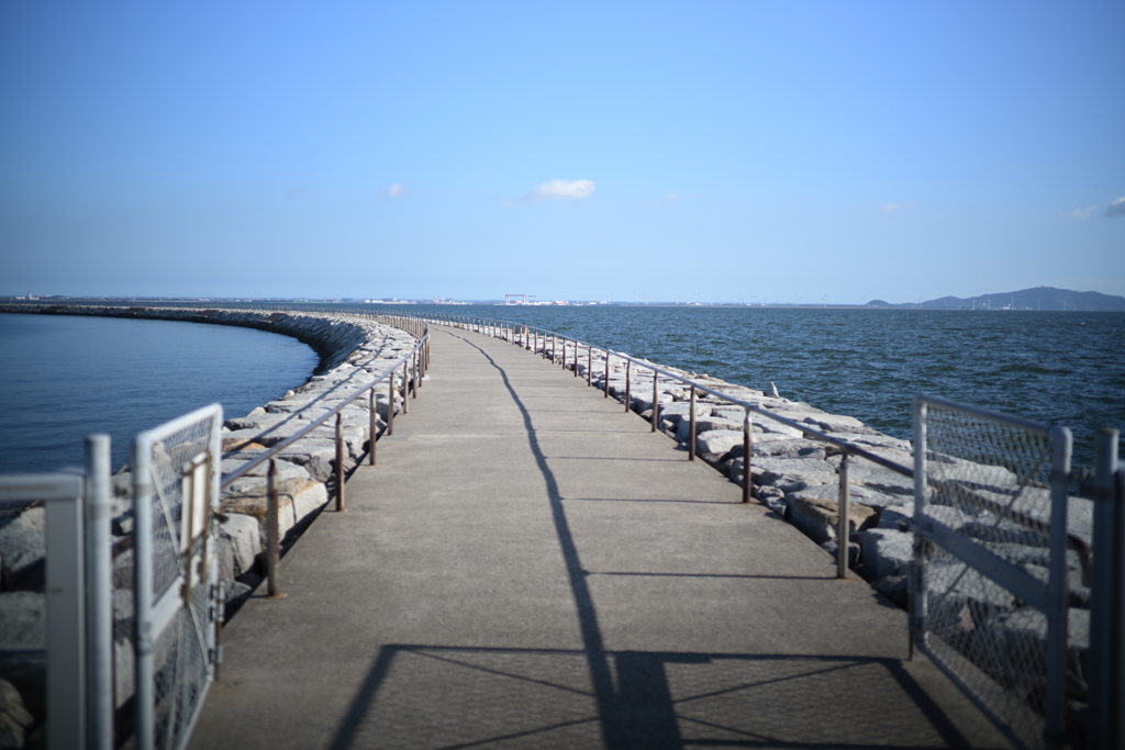 海へ続く道