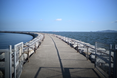 海へ続く道