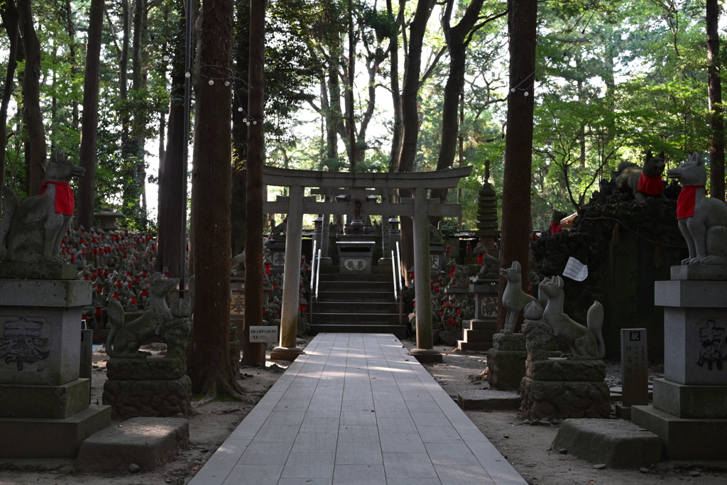 領域