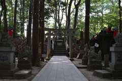 領域