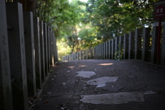 並木道