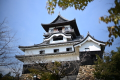 城
