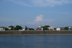 夏の川