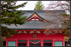 224A3659_photohito