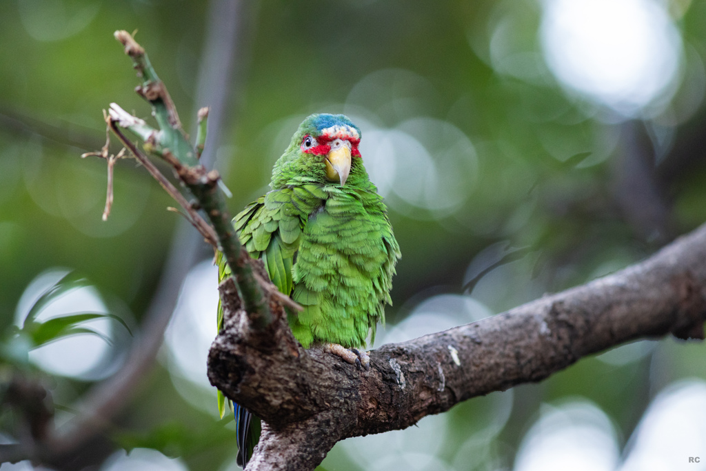 5O7A0219_Photohito-Photohito-2