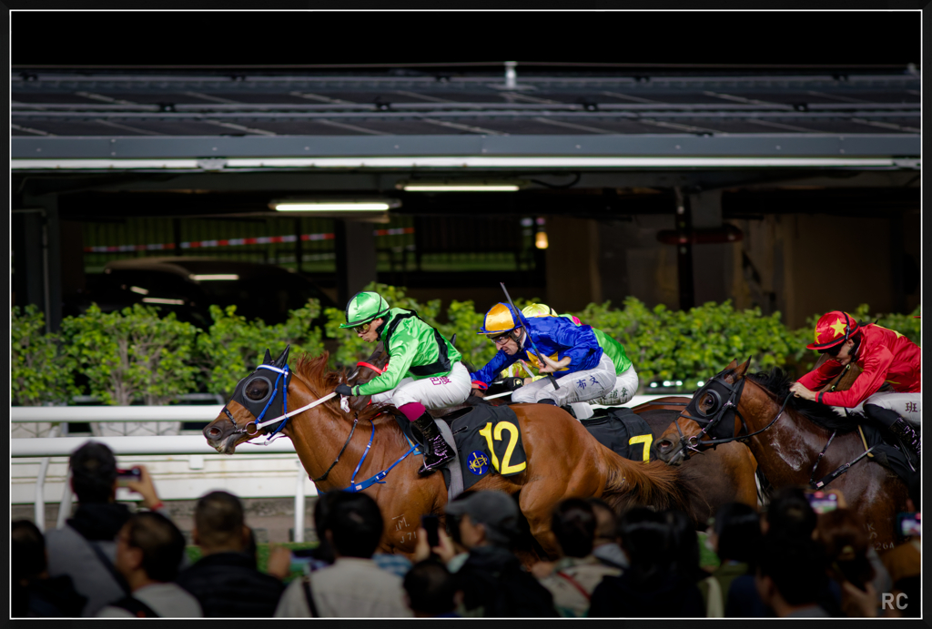 R6M26206_photohito