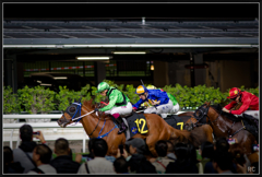 R6M26206_photohito
