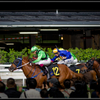 R6M26206_photohito