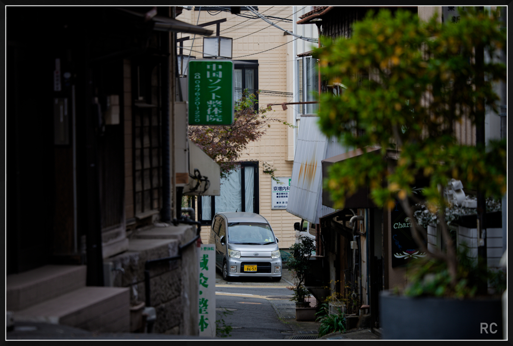 224A6037_photohito