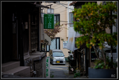 224A6037_photohito