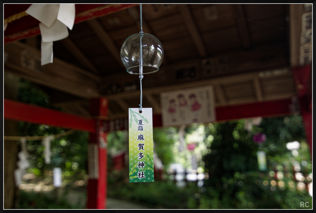 IC4C8140_photohito