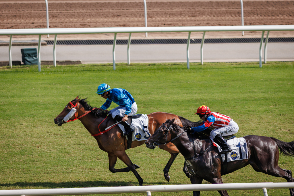 香港沙田競馬場