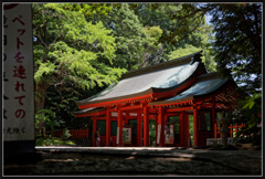 IMG_7311_photohito
