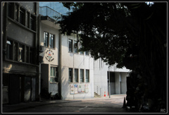IMG_0711_photohito