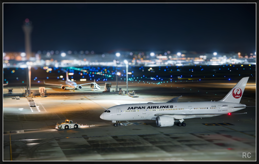 224A3154_photohito-2