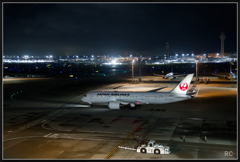 224A3156_photohito
