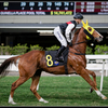R6M27134_photohito
