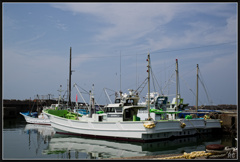 IC4C8348_photohito-1