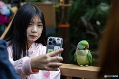 香港公園のオウム