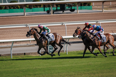 香港沙田競馬場