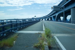 朝