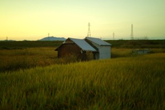 小屋