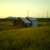 小屋