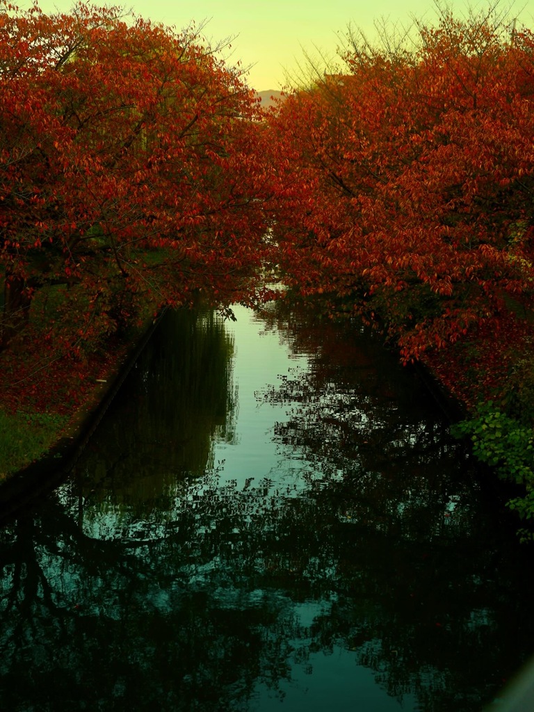 秋の夕景、日常、暮らし「組み写真6」