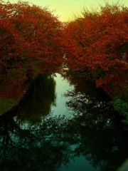 秋の夕景、日常、暮らし「組み写真6」