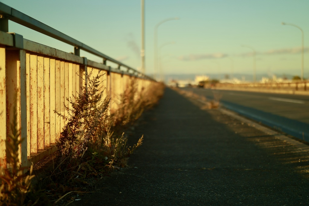 秋の夕景、日常、暮らし「組み写真3」