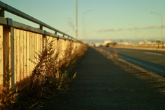 秋の夕景、日常、暮らし「組み写真3」