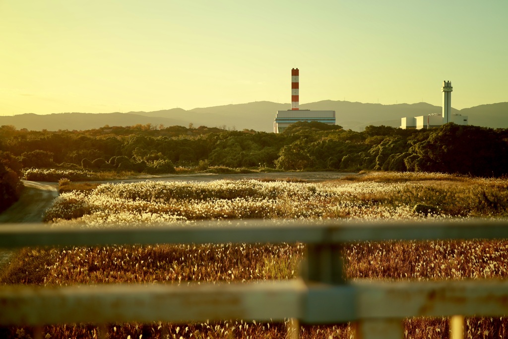 秋の夕景、日常、暮らし「組み写真4」