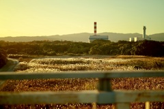 秋の夕景、日常、暮らし「組み写真4」