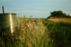 ノスタルジックに