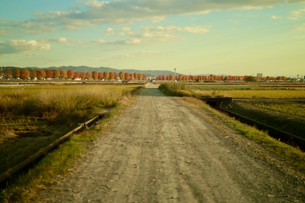 秋の夕景、日常、暮らし「組み写真1」