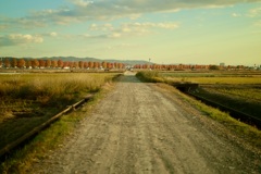 秋の夕景、日常、暮らし「組み写真1」