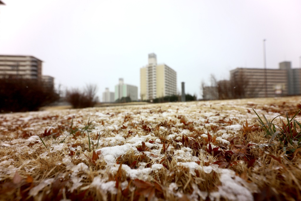 ほんのり雪景色