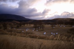 マシュマロおちてる