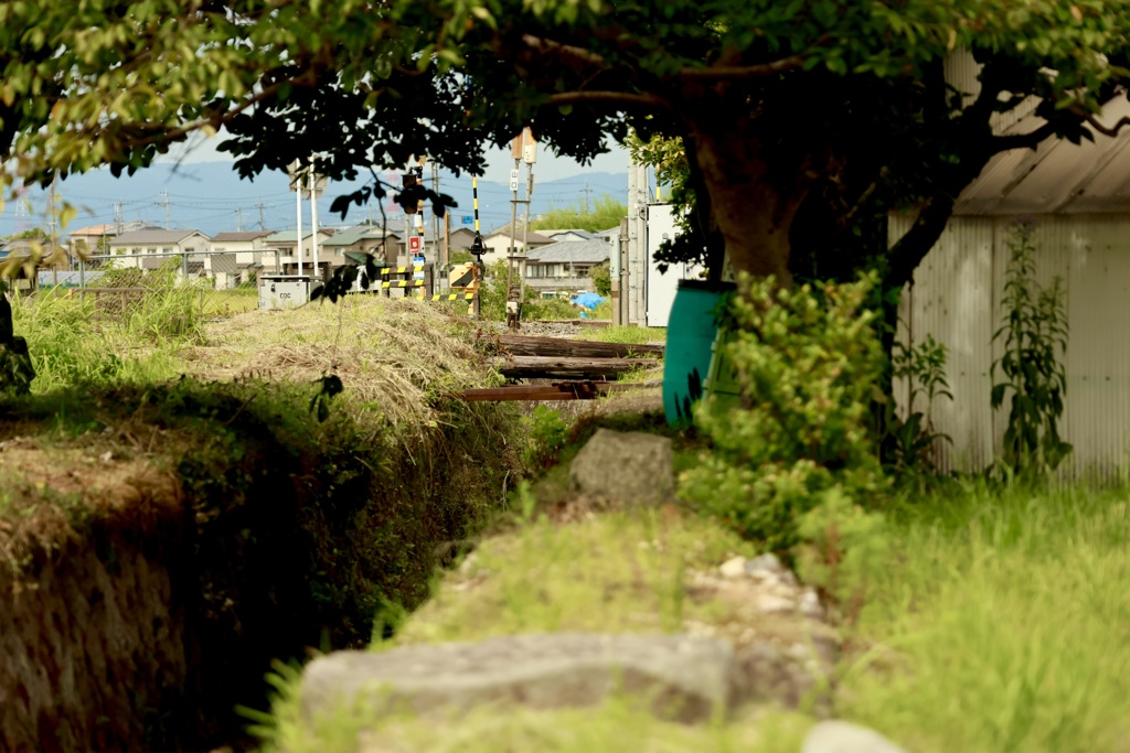 ずっと曇り続き