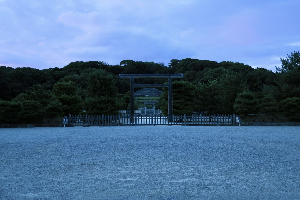 フトモモがはちきれようと