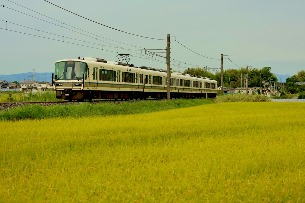 次の電車何時？