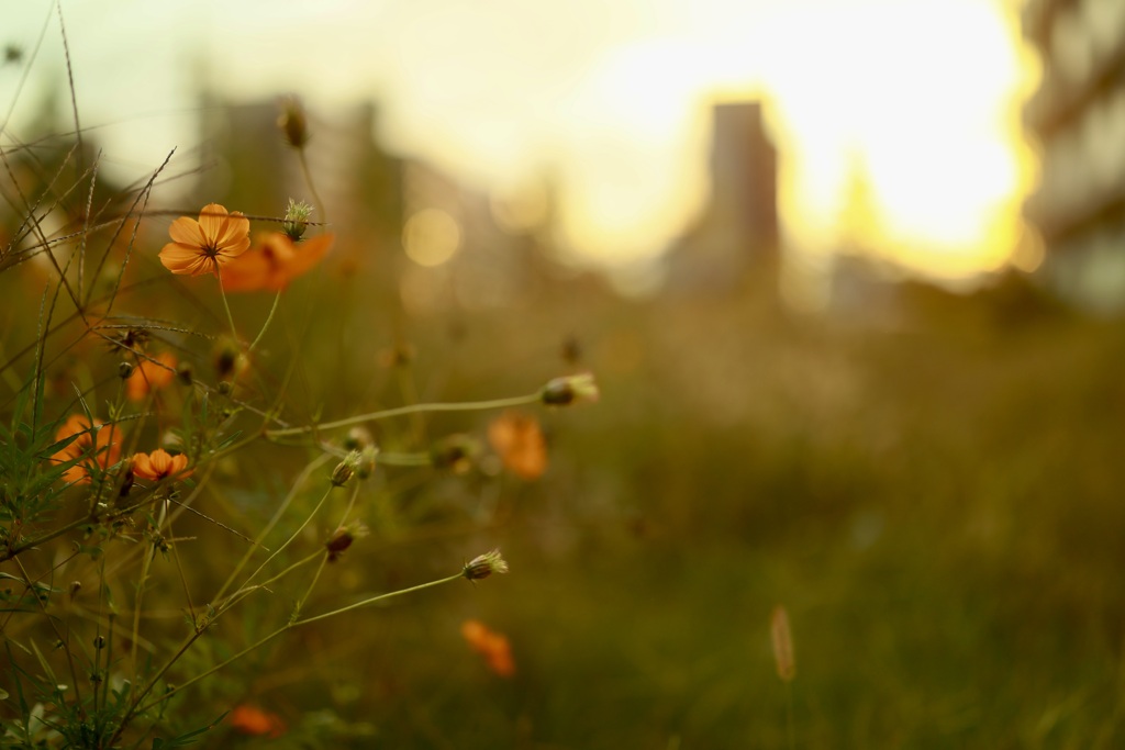 「日々」組み写真6