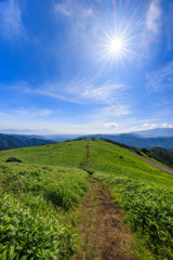 三峰茶屋へ続く道
