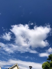 空雲