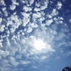 夏の太陽